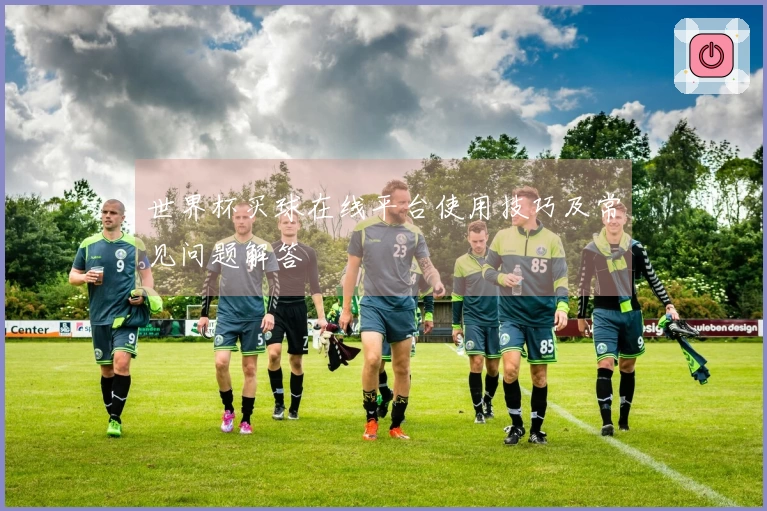 世界杯买球在线平台使用技巧及常见问题解答