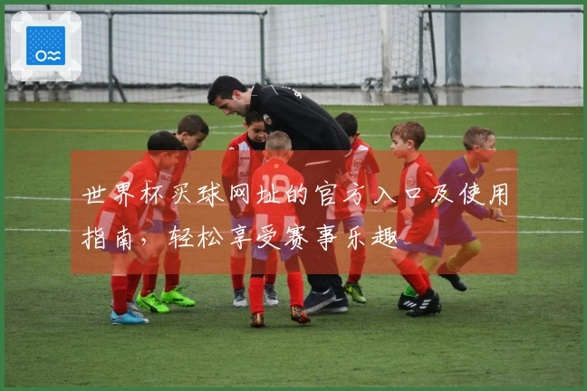 世界杯买球网址的官方入口及使用指南，轻松享受赛事乐趣