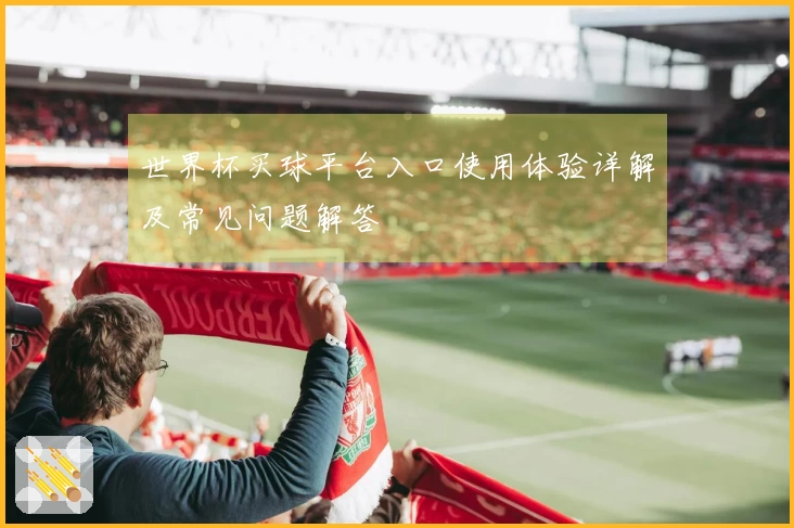 世界杯买球平台入口使用体验详解及常见问题解答