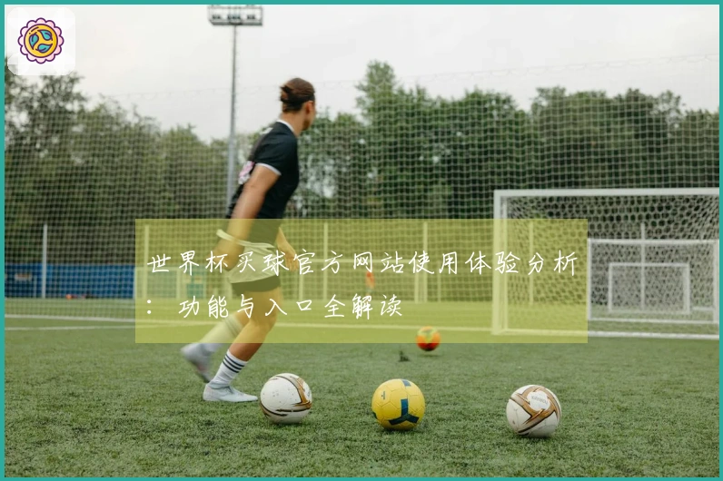 世界杯买球官方网站使用体验分析：功能与入口全解读
