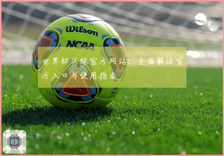 世界杯买球官方网站：全面解读官方入口与使用指南