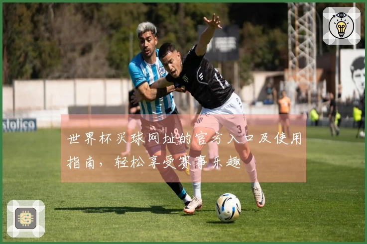 世界杯买球网址的官方入口及使用指南，轻松享受赛事乐趣