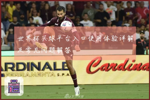 世界杯买球平台入口使用体验详解及常见问题解答