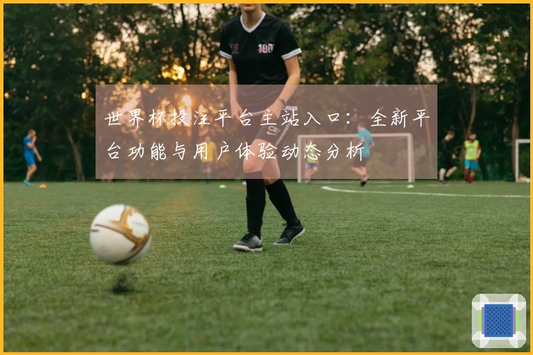 世界杯投注平台主站入口：全新平台功能与用户体验动态分析