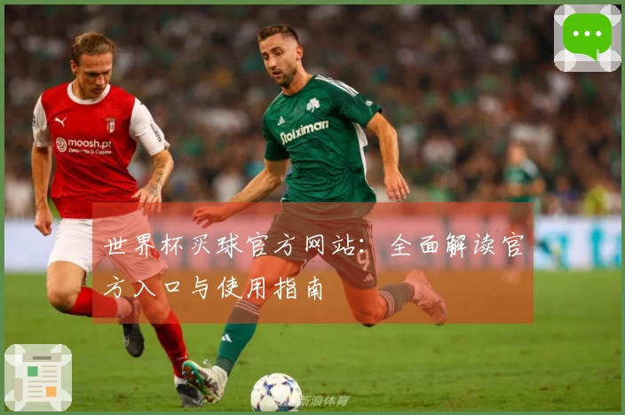世界杯买球官方网站：全面解读官方入口与使用指南