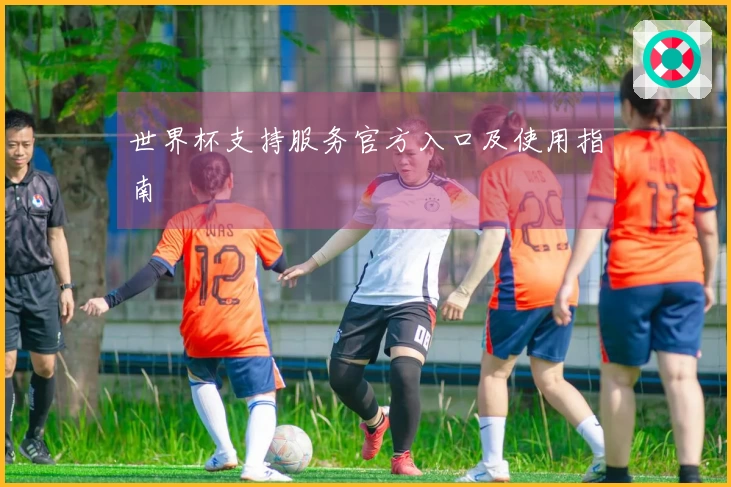 世界杯支持服务官方入口及使用指南
