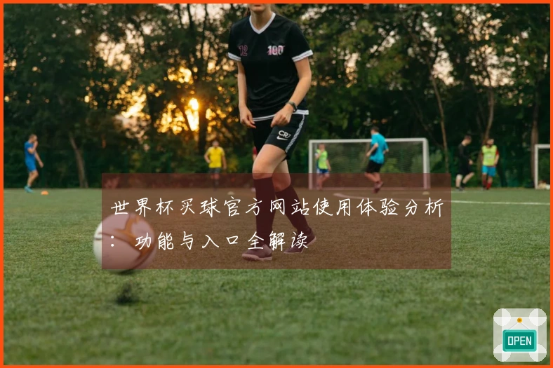 世界杯买球官方网站使用体验分析：功能与入口全解读
