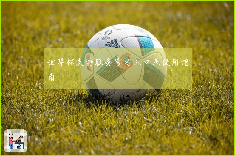 世界杯支持服务官方入口及使用指南