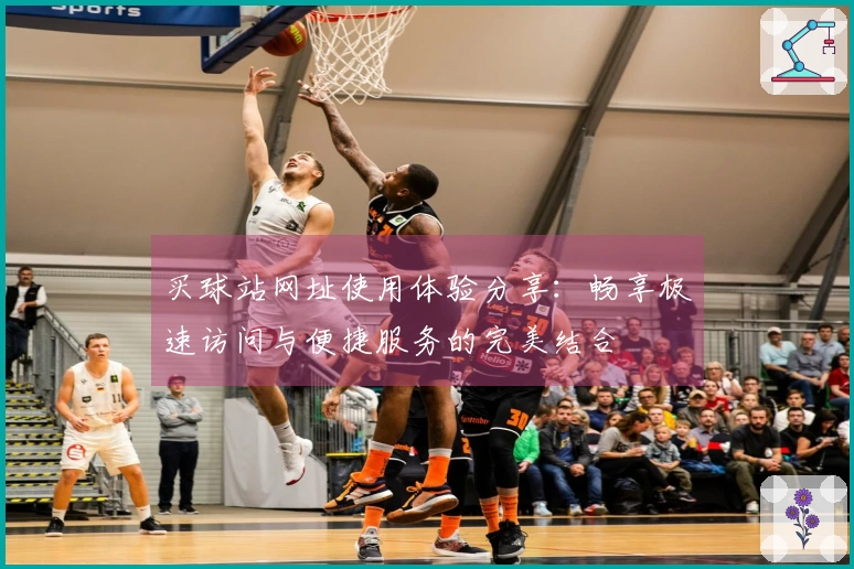 买球站网址使用体验分享：畅享极速访问与便捷服务的完美结合