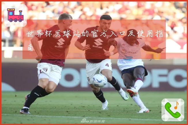 世界杯买球站的官方入口及使用指南