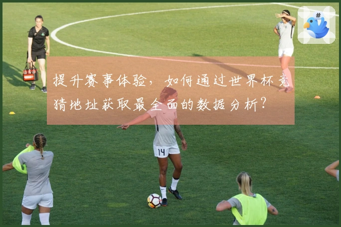 提升赛事体验，如何通过世界杯竞猜地址获取最全面的数据分析？