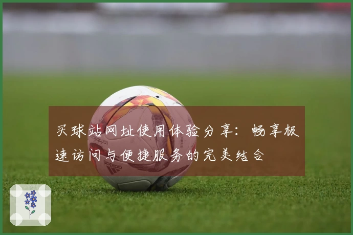 买球站网址使用体验分享：畅享极速访问与便捷服务的完美结合